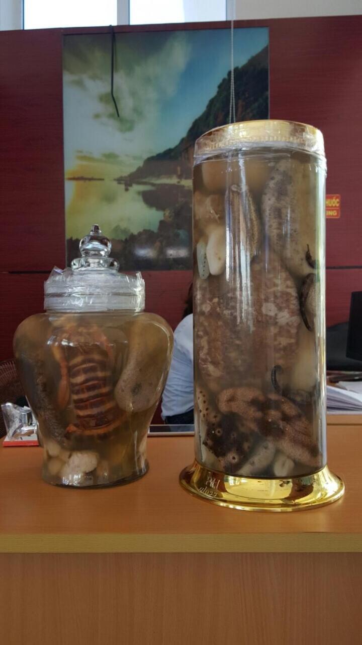 Dai Thanh 1 Motel Cang Sa Ky Quảng Ngãi Kültér fotó